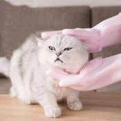 Рукавички по догляду за тваринами